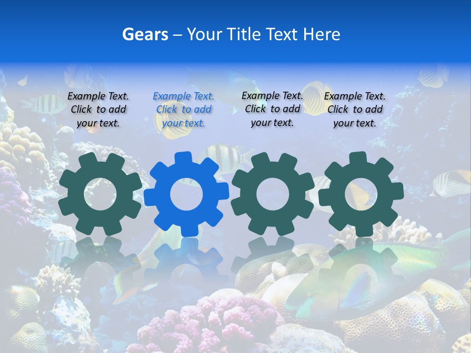 Ocean Tropical Egypt PowerPoint Template