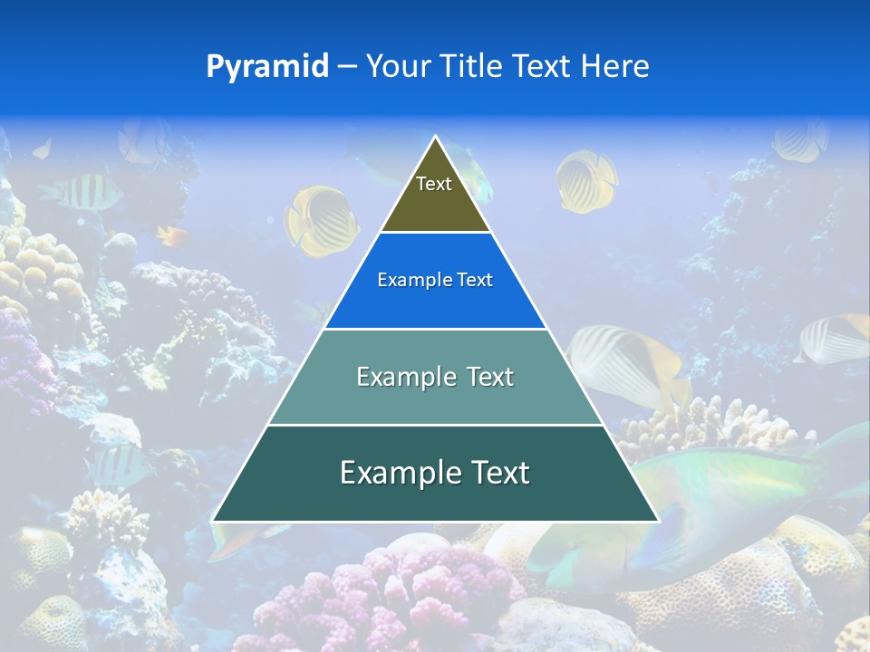 Ocean Tropical Egypt PowerPoint Template