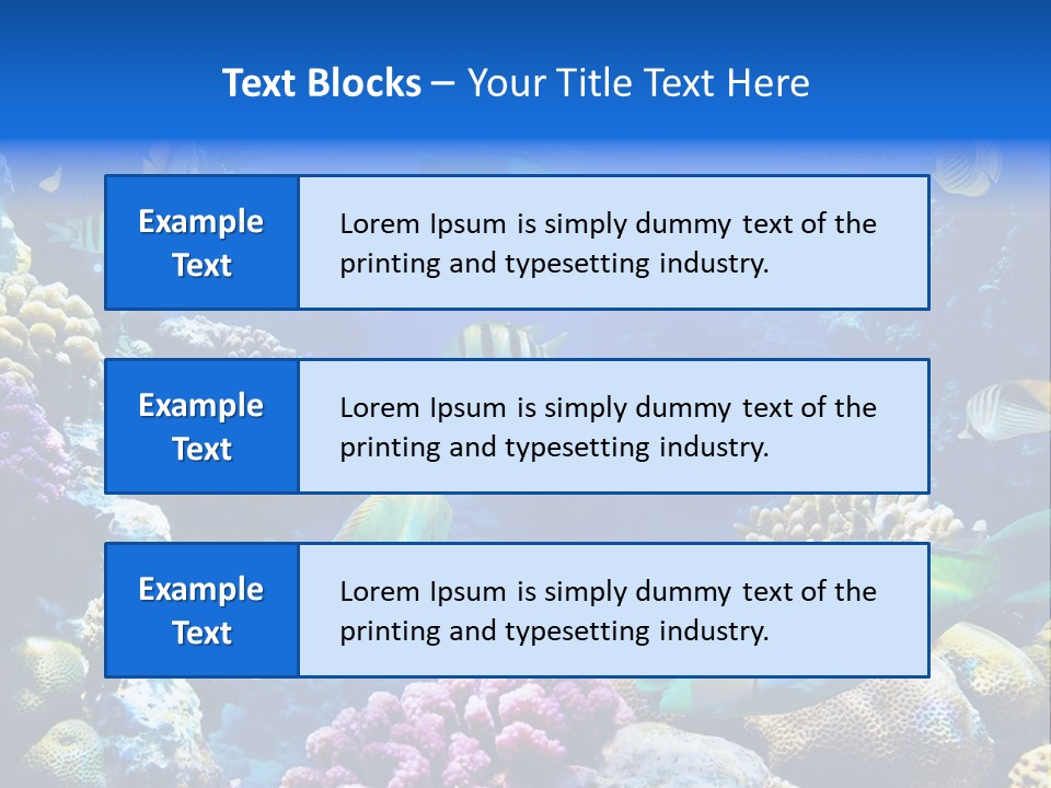 Ocean Tropical Egypt PowerPoint Template