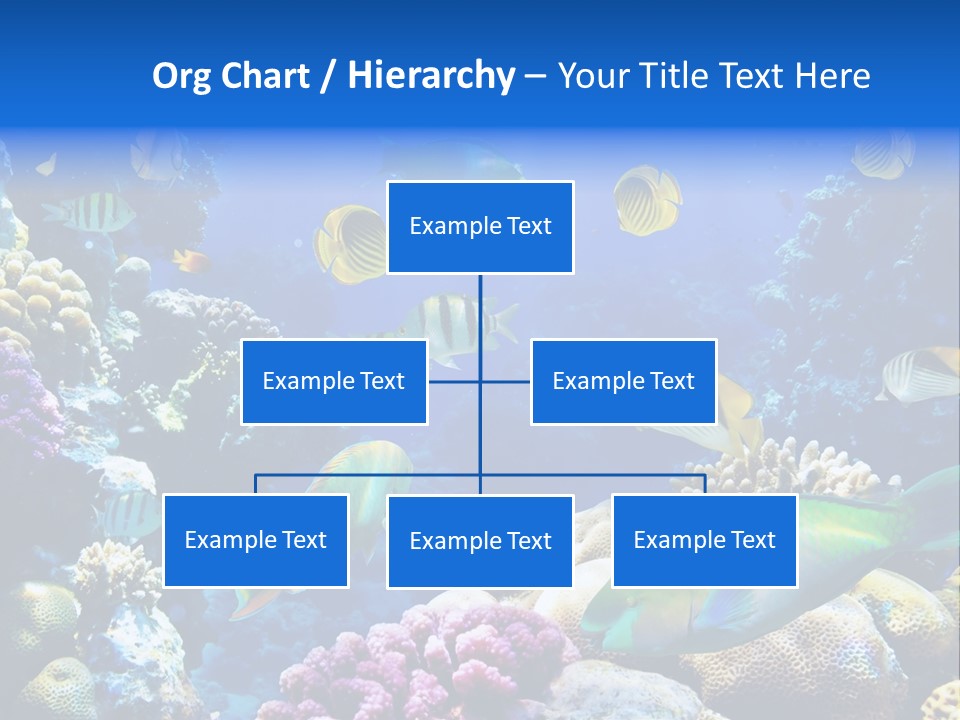 Ocean Tropical Egypt PowerPoint Template