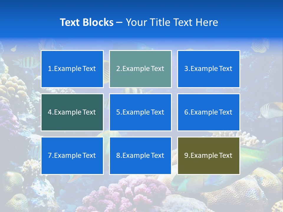 Ocean Tropical Egypt PowerPoint Template