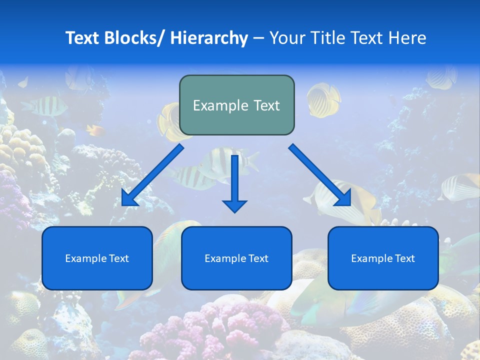 Ocean Tropical Egypt PowerPoint Template