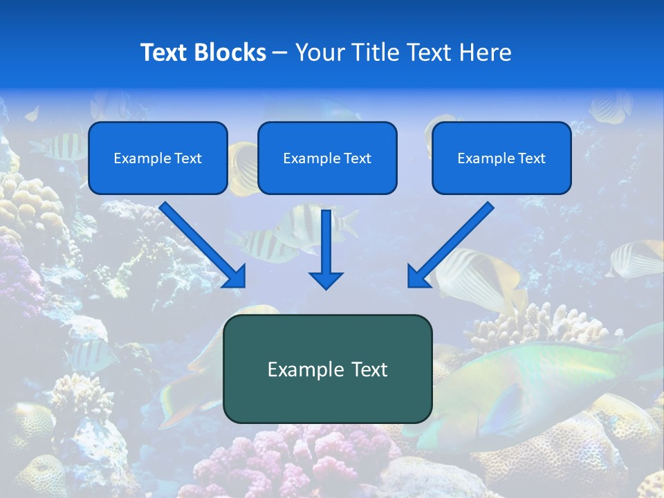 Ocean Tropical Egypt PowerPoint Template