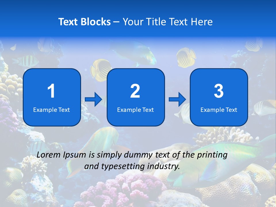 Ocean Tropical Egypt PowerPoint Template