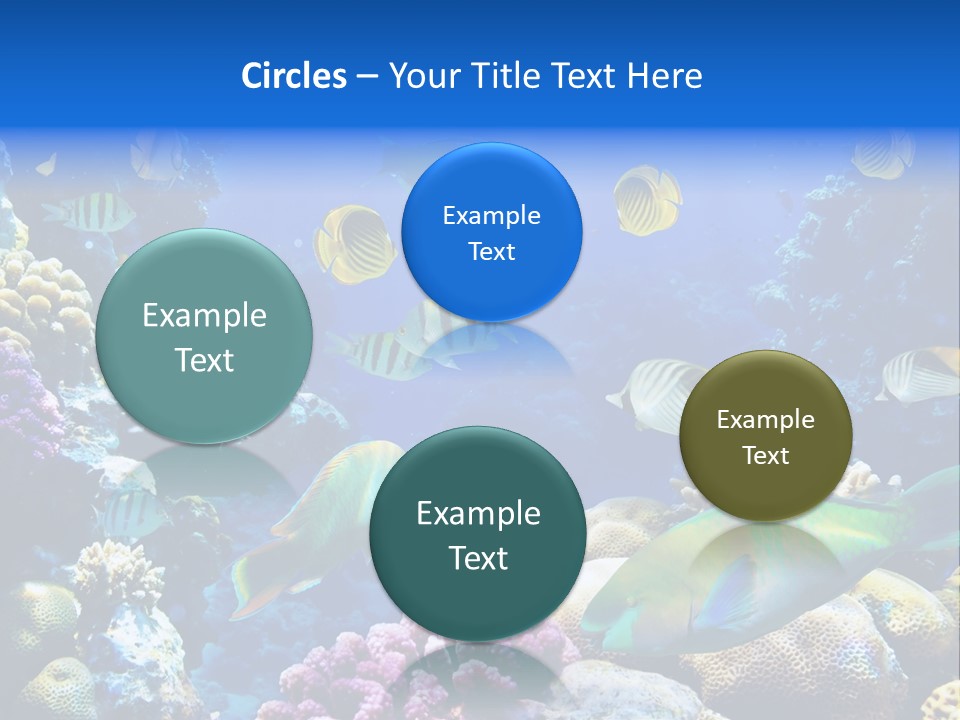 Ocean Tropical Egypt PowerPoint Template