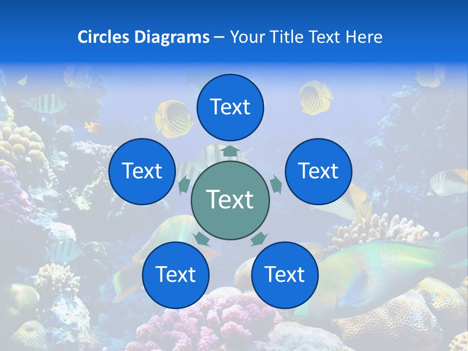 Ocean Tropical Egypt PowerPoint Template