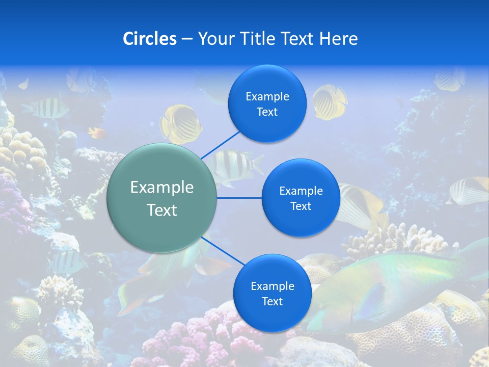 Ocean Tropical Egypt PowerPoint Template