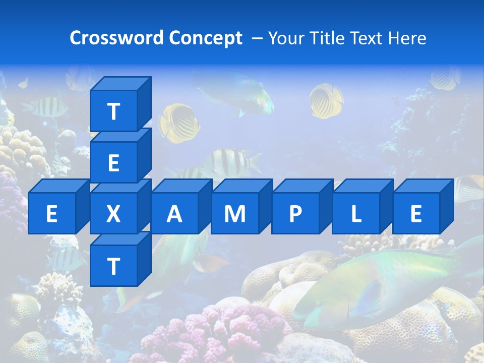 Ocean Tropical Egypt PowerPoint Template