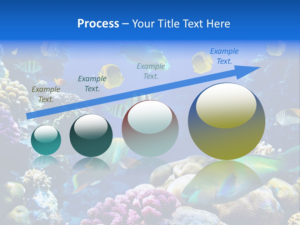 Ocean Tropical Egypt PowerPoint Template