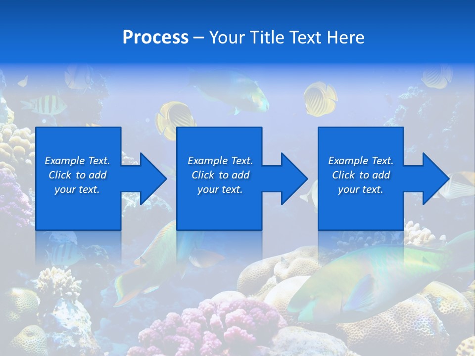 Ocean Tropical Egypt PowerPoint Template