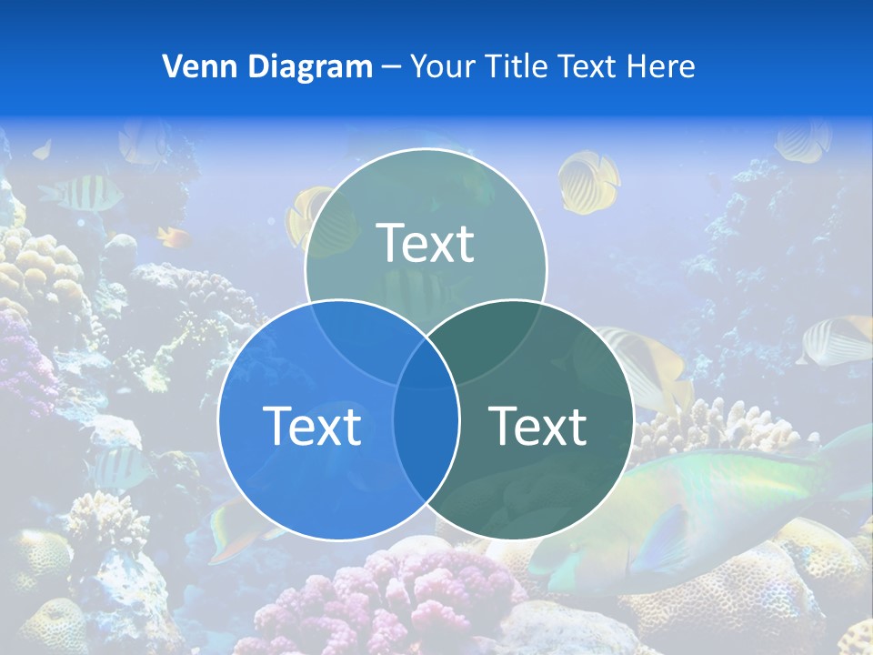 Ocean Tropical Egypt PowerPoint Template