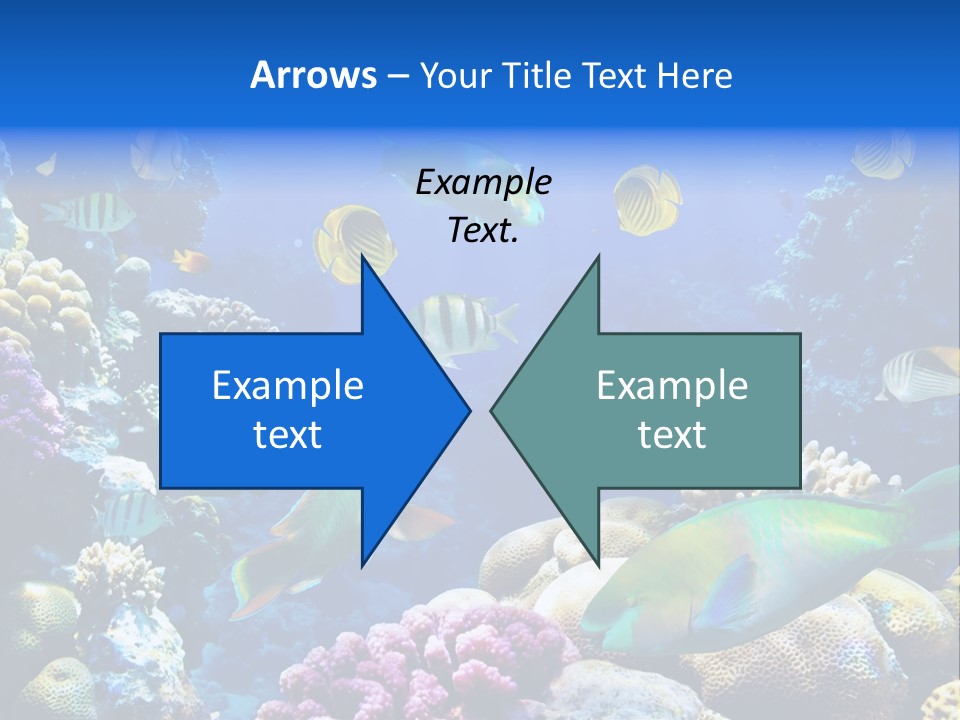 Ocean Tropical Egypt PowerPoint Template