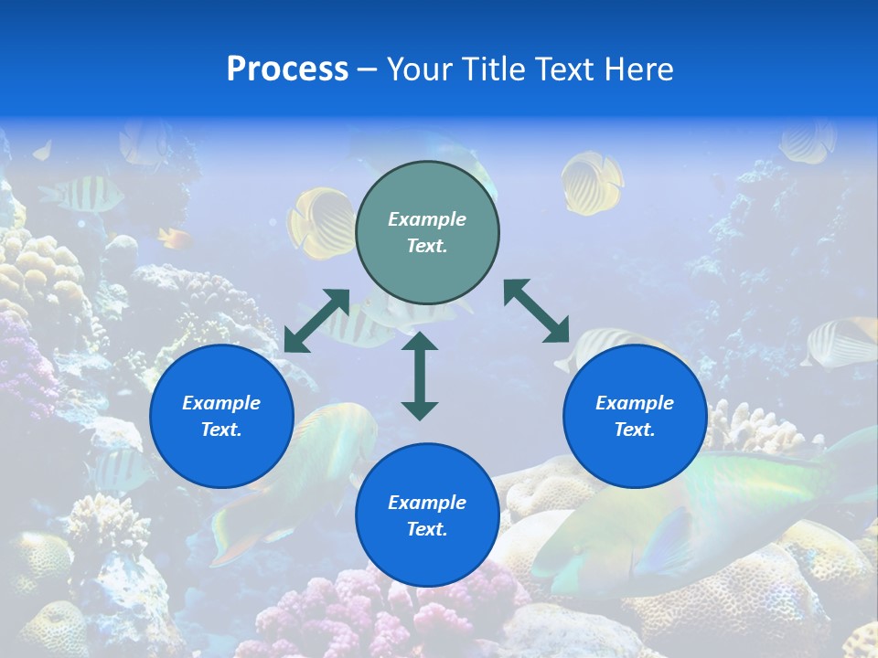 Ocean Tropical Egypt PowerPoint Template