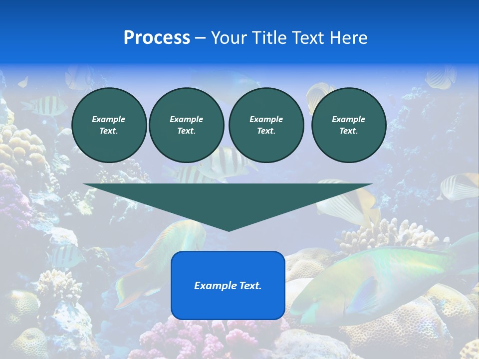 Ocean Tropical Egypt PowerPoint Template