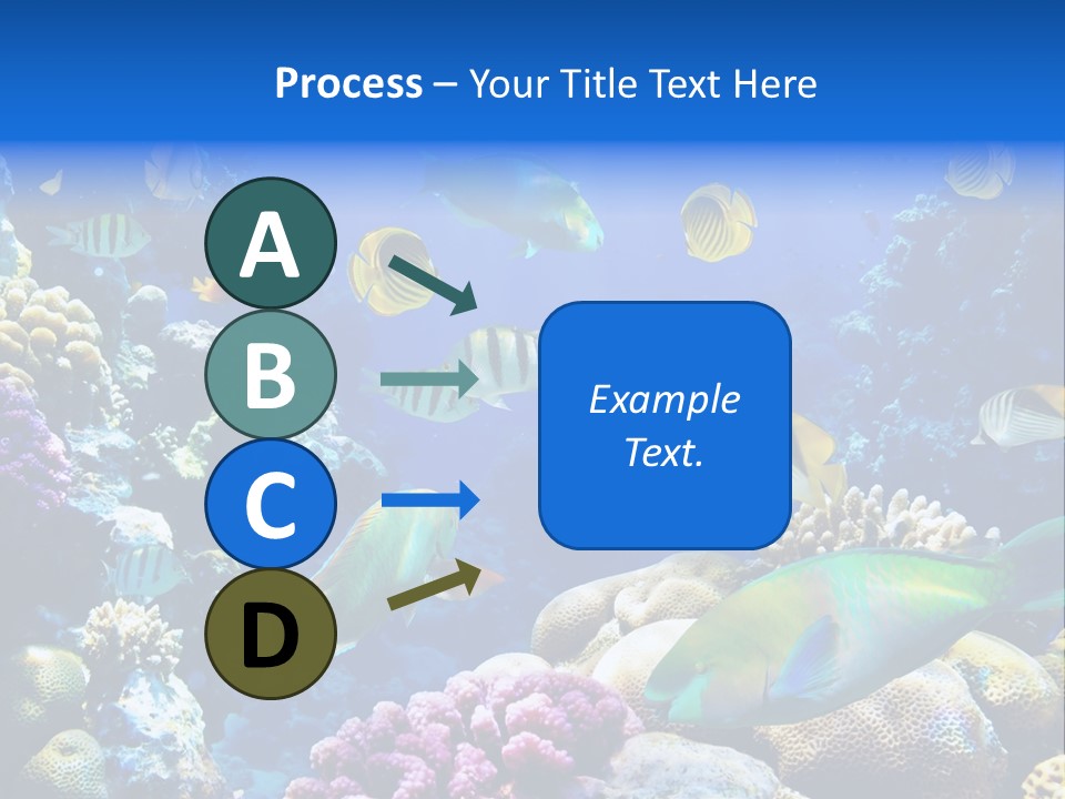 Ocean Tropical Egypt PowerPoint Template