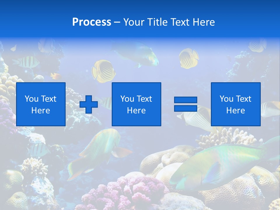 Ocean Tropical Egypt PowerPoint Template