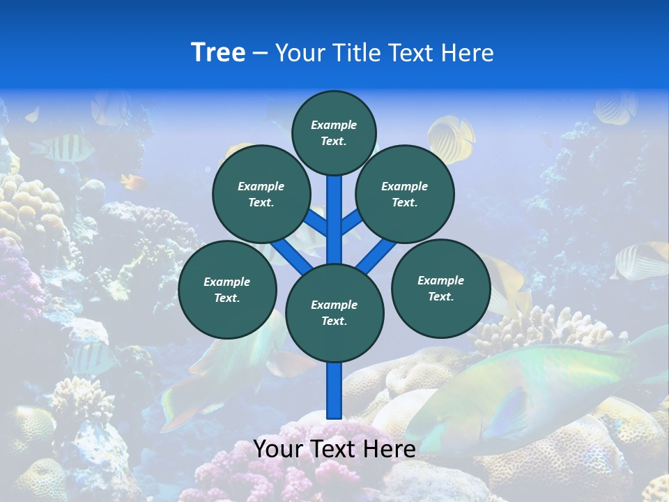 Ocean Tropical Egypt PowerPoint Template