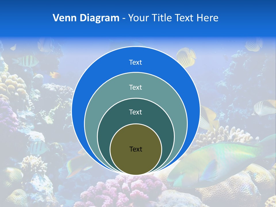 Ocean Tropical Egypt PowerPoint Template