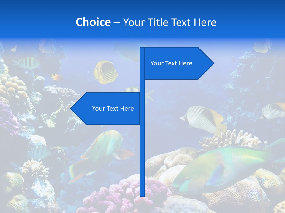 Ocean Tropical Egypt PowerPoint Template