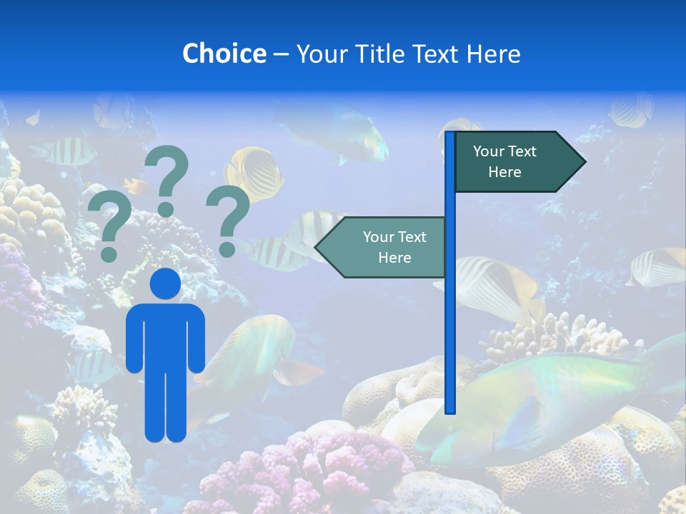 Ocean Tropical Egypt PowerPoint Template