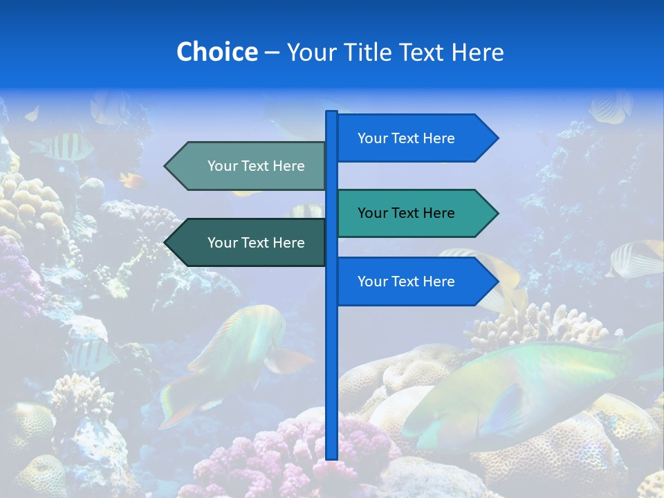 Ocean Tropical Egypt PowerPoint Template