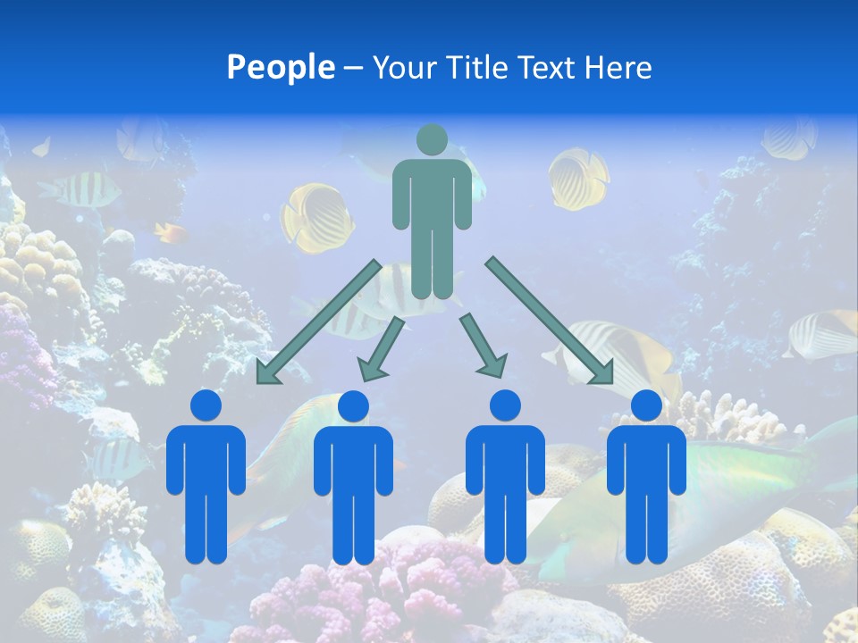 Ocean Tropical Egypt PowerPoint Template