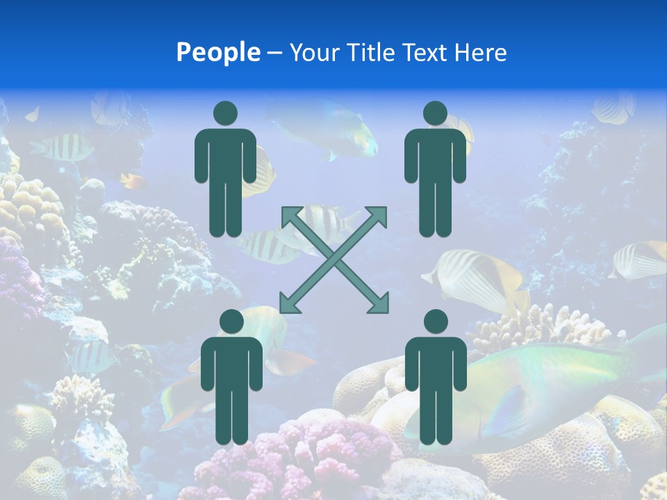 Ocean Tropical Egypt PowerPoint Template