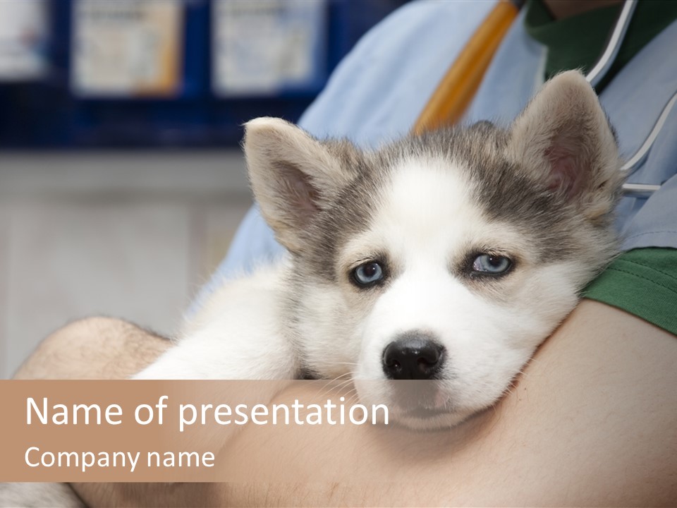 Detail Rate Health PowerPoint Template