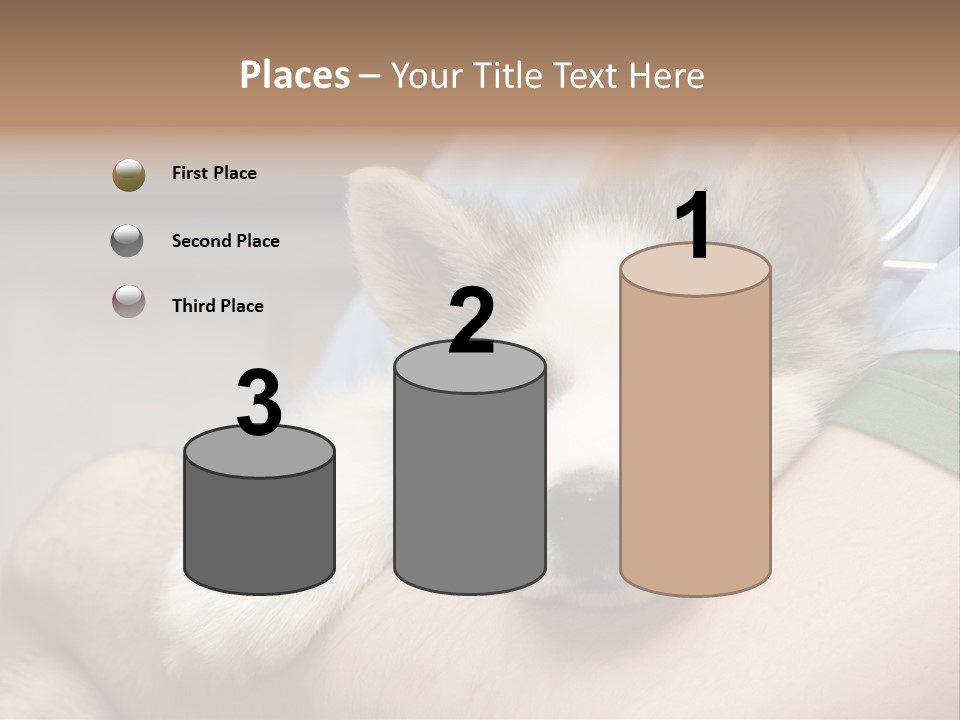 Detail Rate Health PowerPoint Template