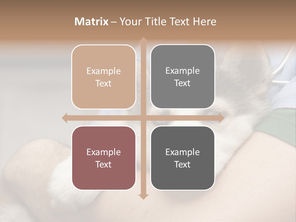 Detail Rate Health PowerPoint Template