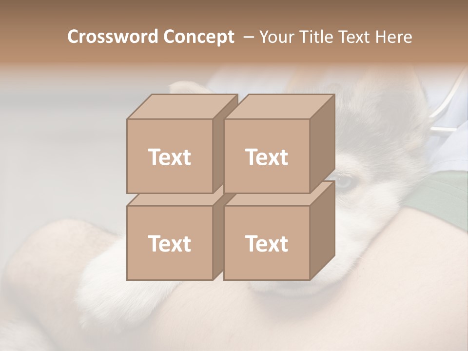 Detail Rate Health PowerPoint Template