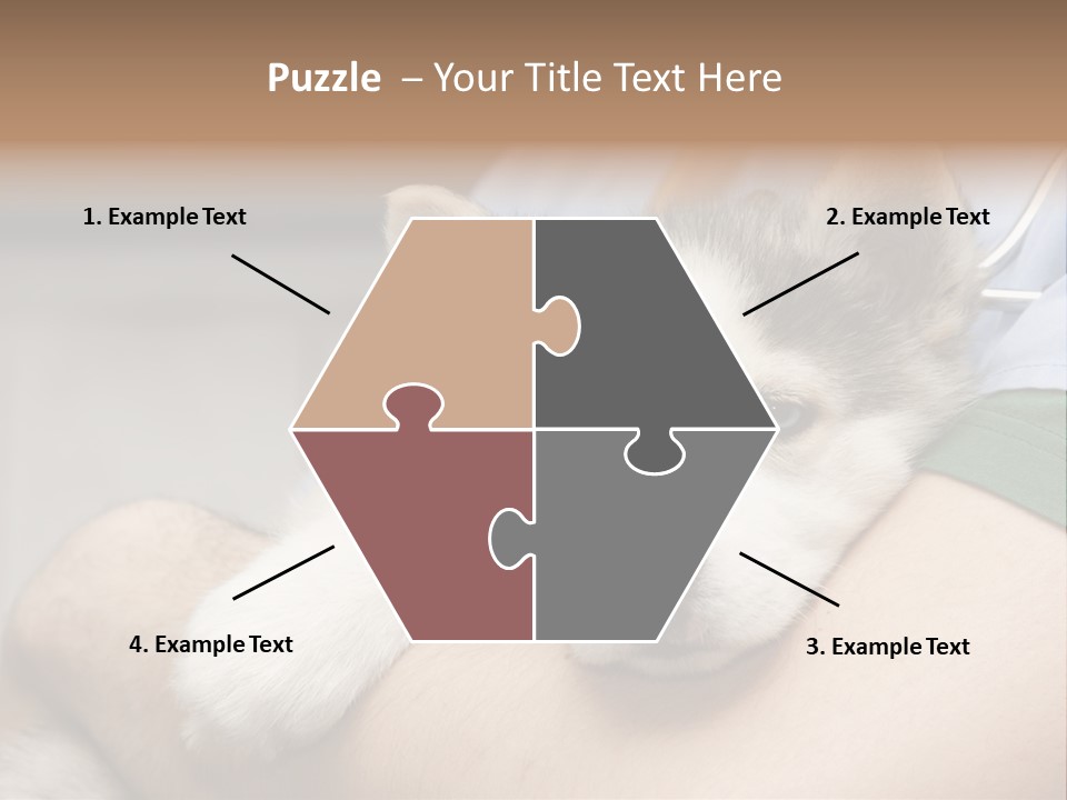 Detail Rate Health PowerPoint Template