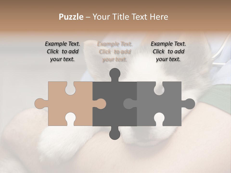 Detail Rate Health PowerPoint Template