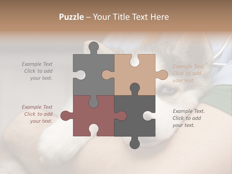 Detail Rate Health PowerPoint Template