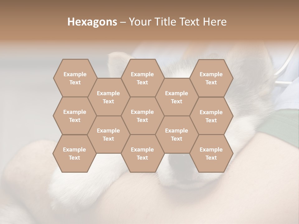 Detail Rate Health PowerPoint Template