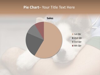 Detail Rate Health PowerPoint Template