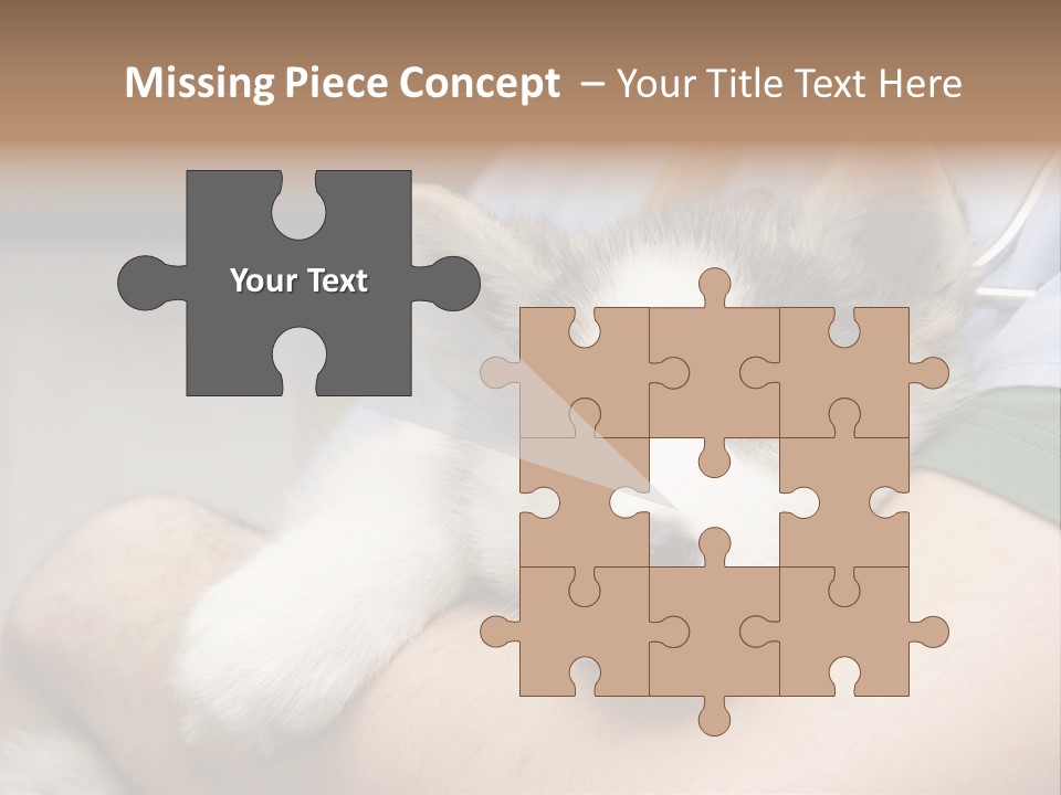 Detail Rate Health PowerPoint Template