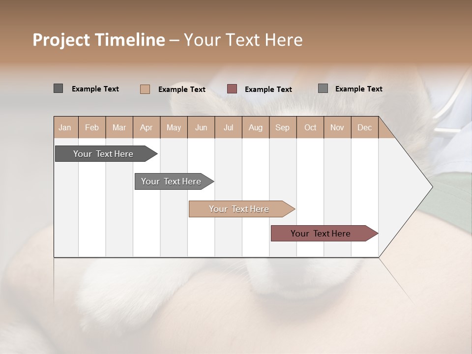 Detail Rate Health PowerPoint Template
