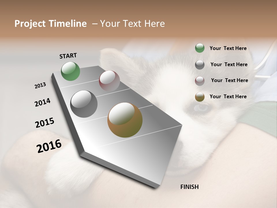 Detail Rate Health PowerPoint Template