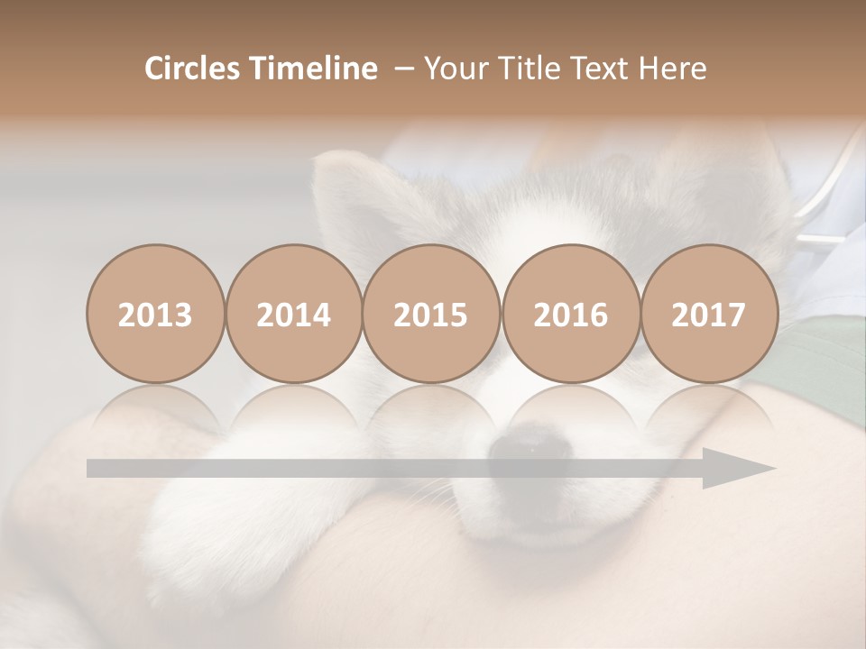 Detail Rate Health PowerPoint Template