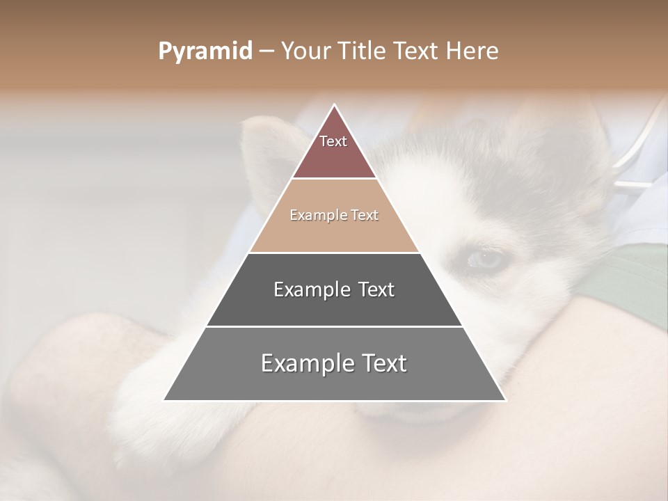 Detail Rate Health PowerPoint Template