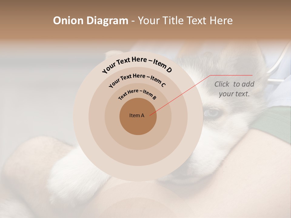 Detail Rate Health PowerPoint Template