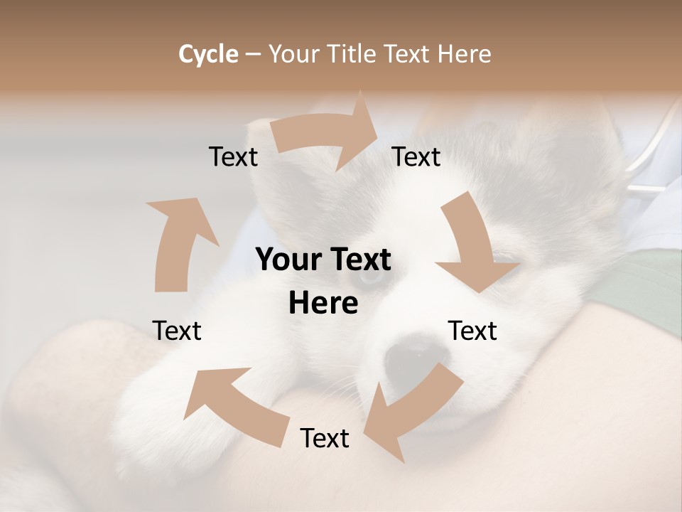 Detail Rate Health PowerPoint Template