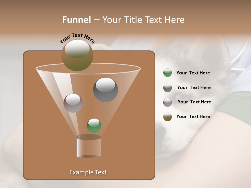 Detail Rate Health PowerPoint Template
