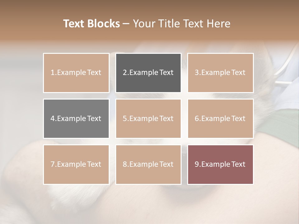 Detail Rate Health PowerPoint Template