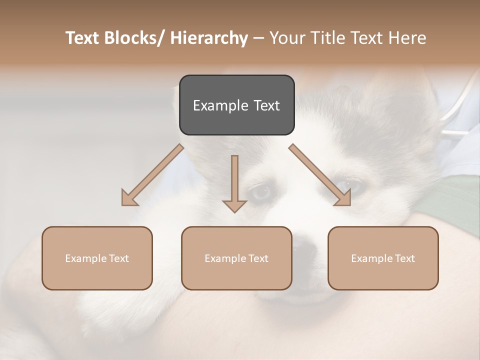 Detail Rate Health PowerPoint Template