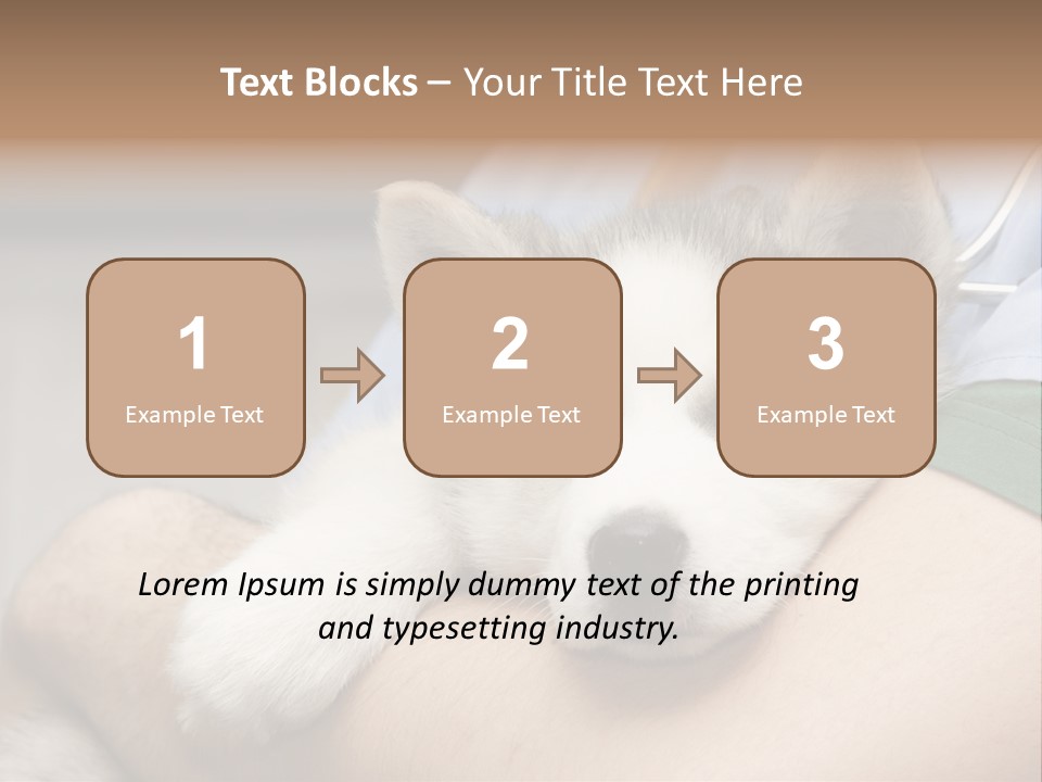 Detail Rate Health PowerPoint Template