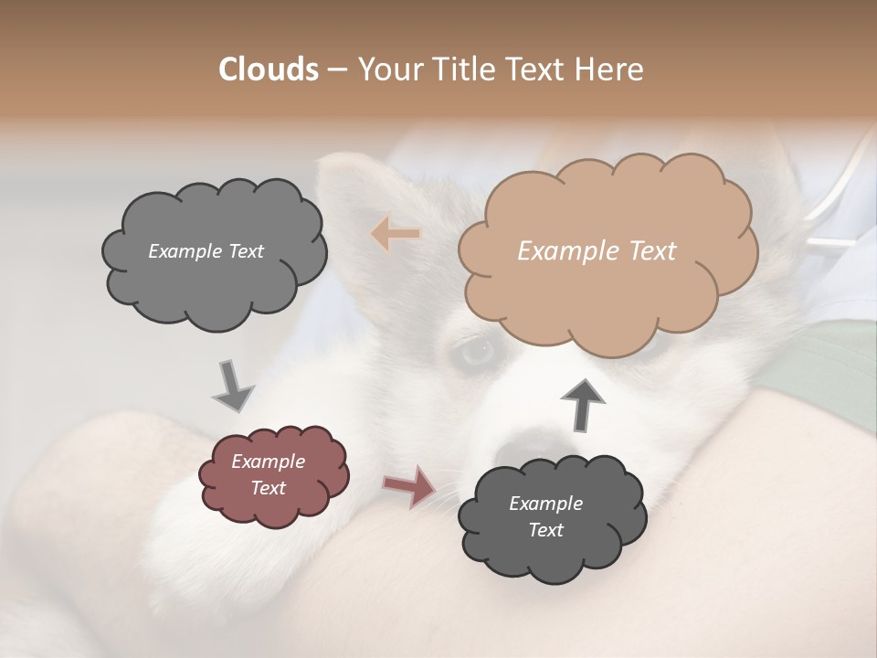 Detail Rate Health PowerPoint Template
