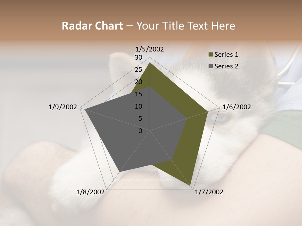 Detail Rate Health PowerPoint Template