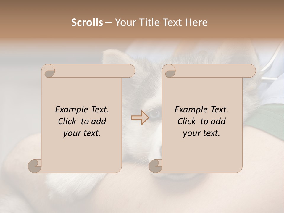 Detail Rate Health PowerPoint Template